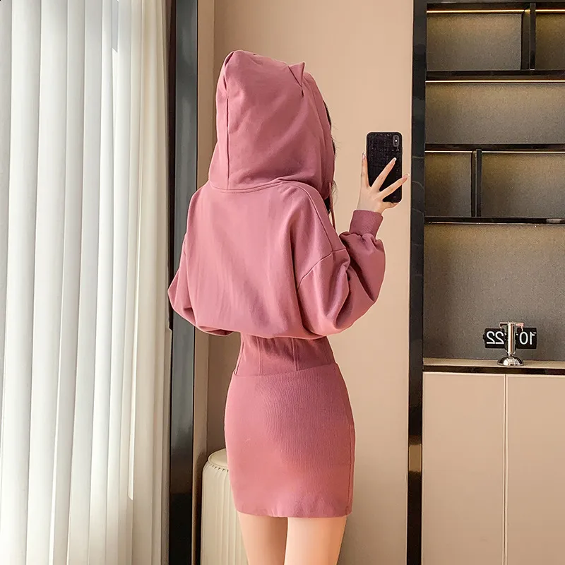 knee length dresses for ladies Rae Hoodie Sweatshirt Dress main image 0