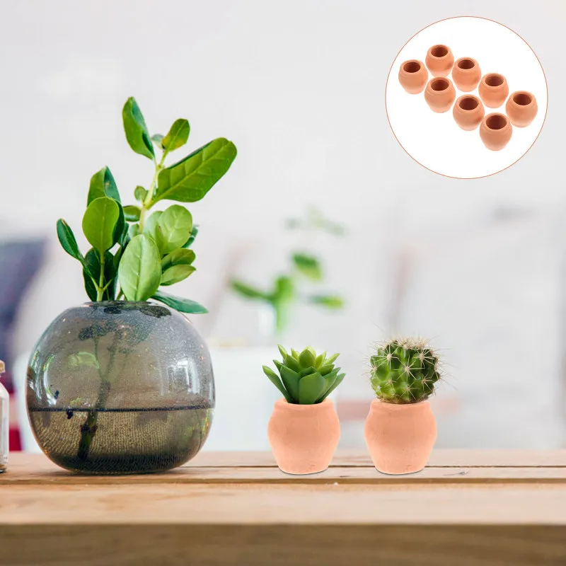 organic strawberry plant fertilizer Organic Strawberry Windowsill Grow Kit 🍓 main image 1