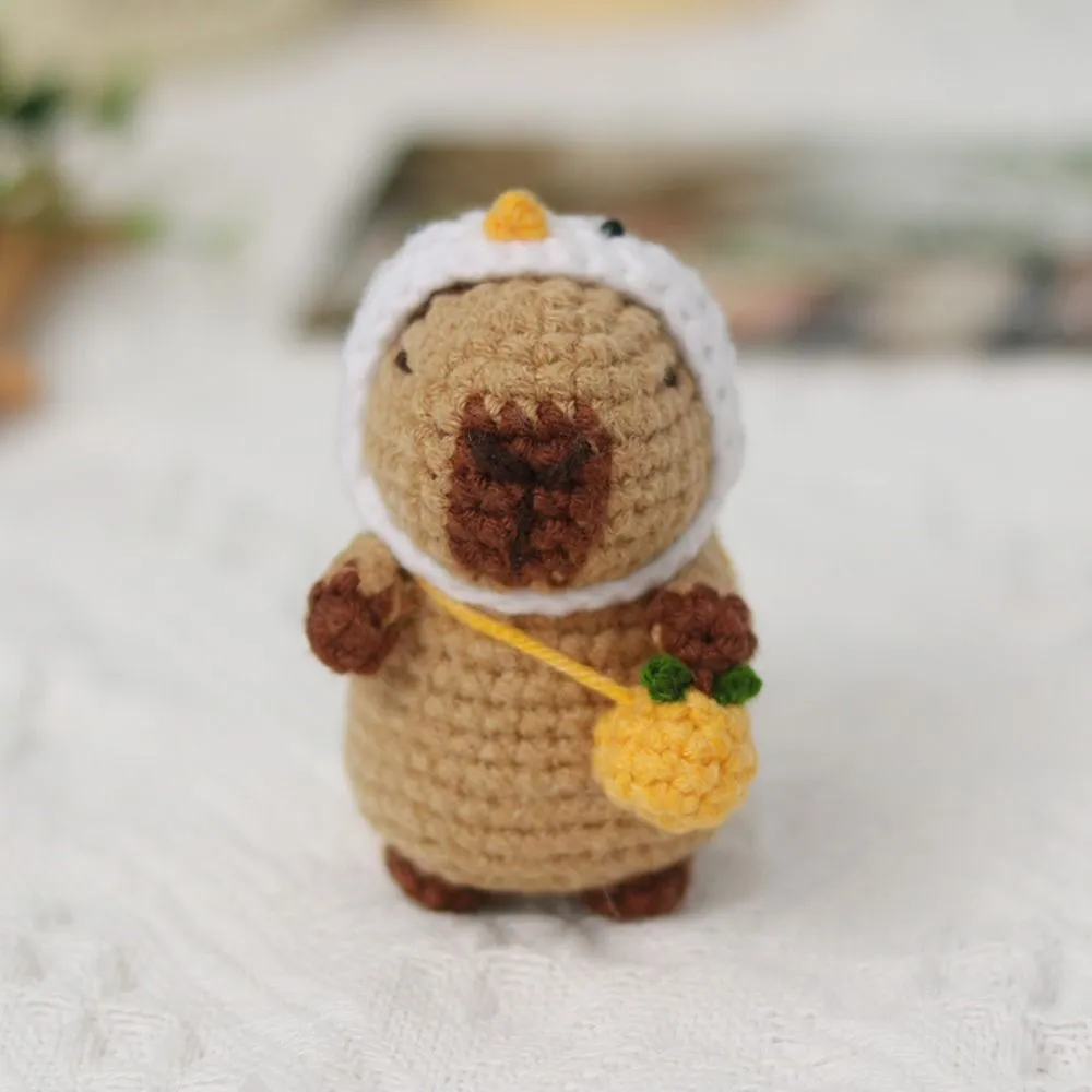 thumbnail image 2 of Crochet Kit For Beginners - Complete Crochet Kits With Stitch By Stitch Video Tutorial Beginner Crochet Kit For Adults Kids Gift   Starter Easy Learn To Crochet Succulent Plants Family 436001341104750598 2 of 10