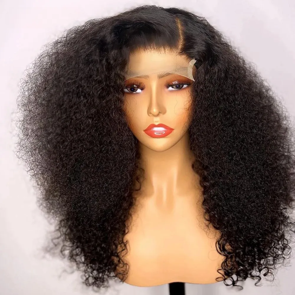 55% OFF Brazilian 360° Glueless Full Lace Front Wig – Kinky Curly, 250% Density, HD Lace – $13.84 Deal