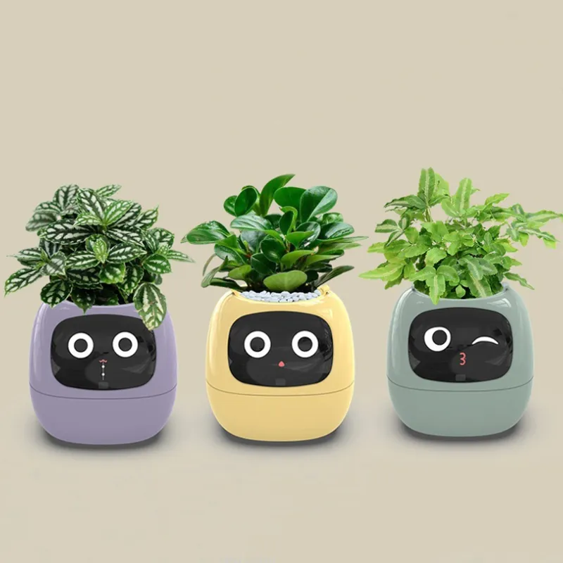 Smart Digital Indoor Plant Pot USB Rechargeable... From Crazyprice, $77.4 |  DHgate.Com