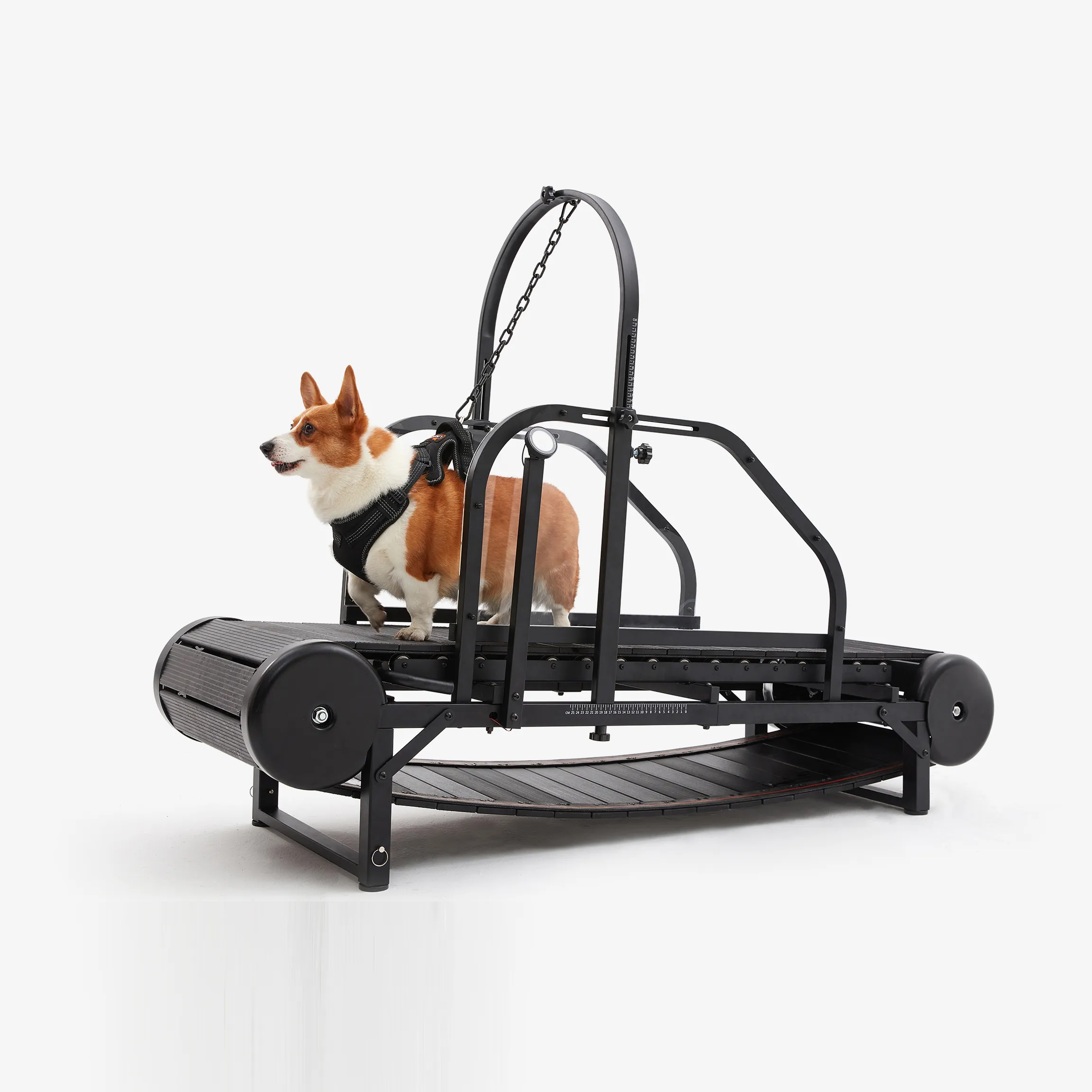 犬用ペットトレッドミル フィットネスエクササイズ用の非電気、高耐久