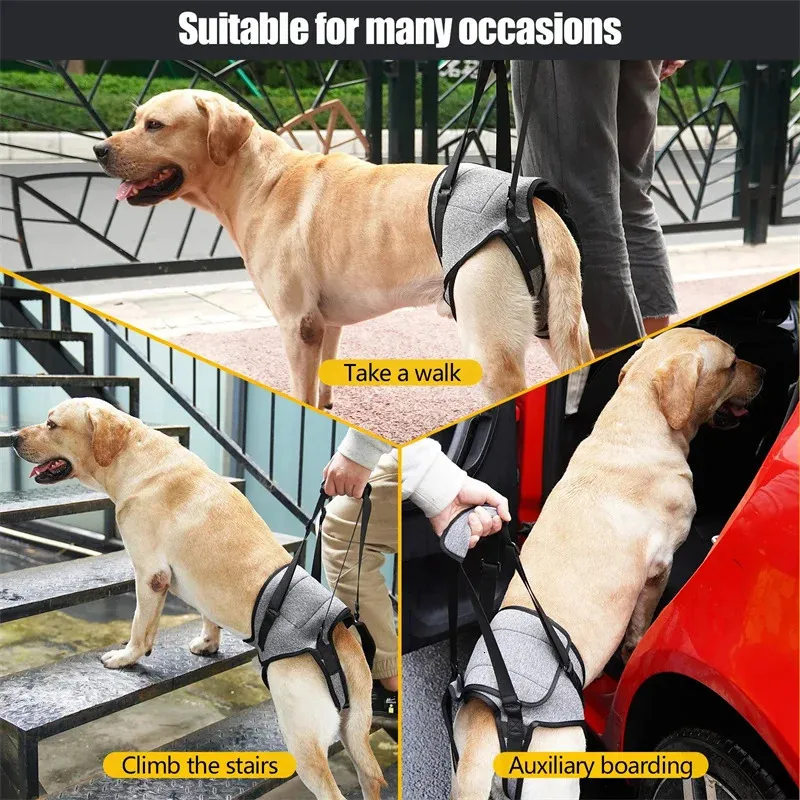 Dog Lift Harness For Hind Legs - Support Sling For Old, Disabled, Or Arthritic Dogs