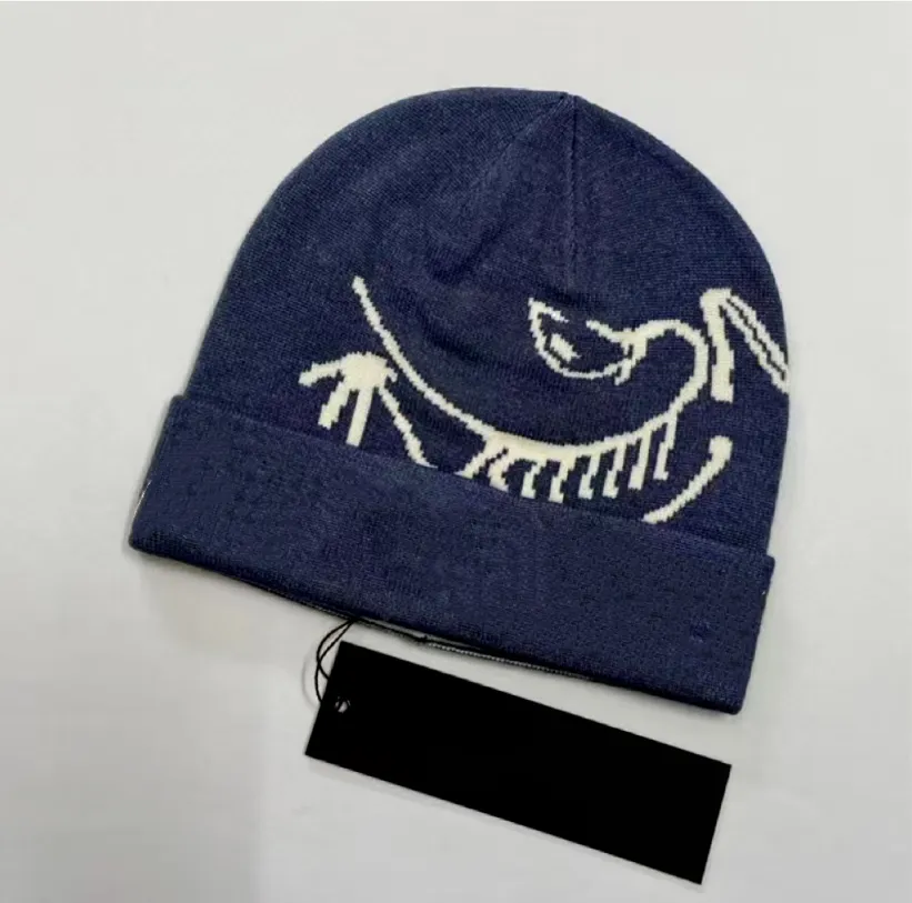 ARC'TERYX スカルキャップ ビーニー キャップビーニー アークテリクス スカルキャップ ARC TERYX