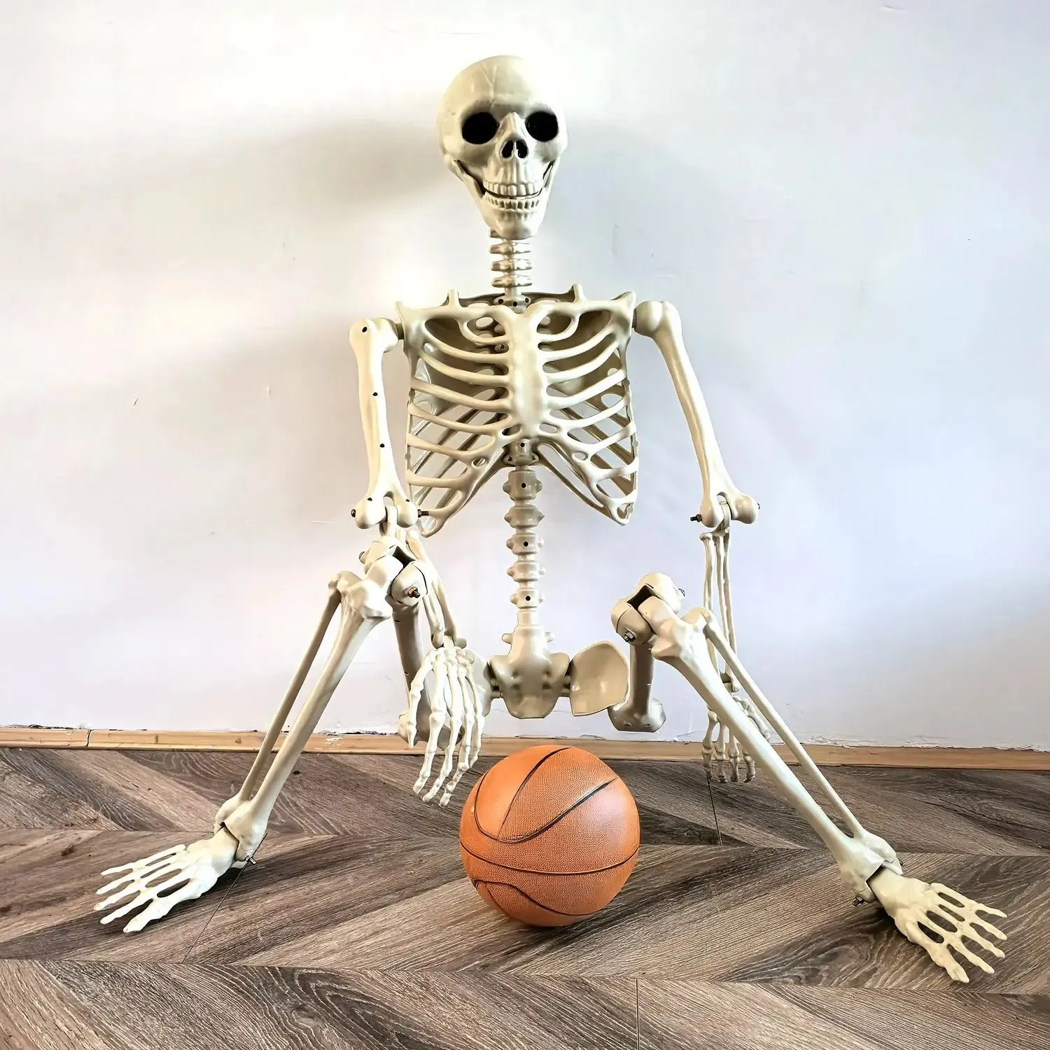 Scheletro Umano Da Halloween 90 165 Cm Articolato Decorazione Horror Casa Infestata Da 63,59 € | DHgate