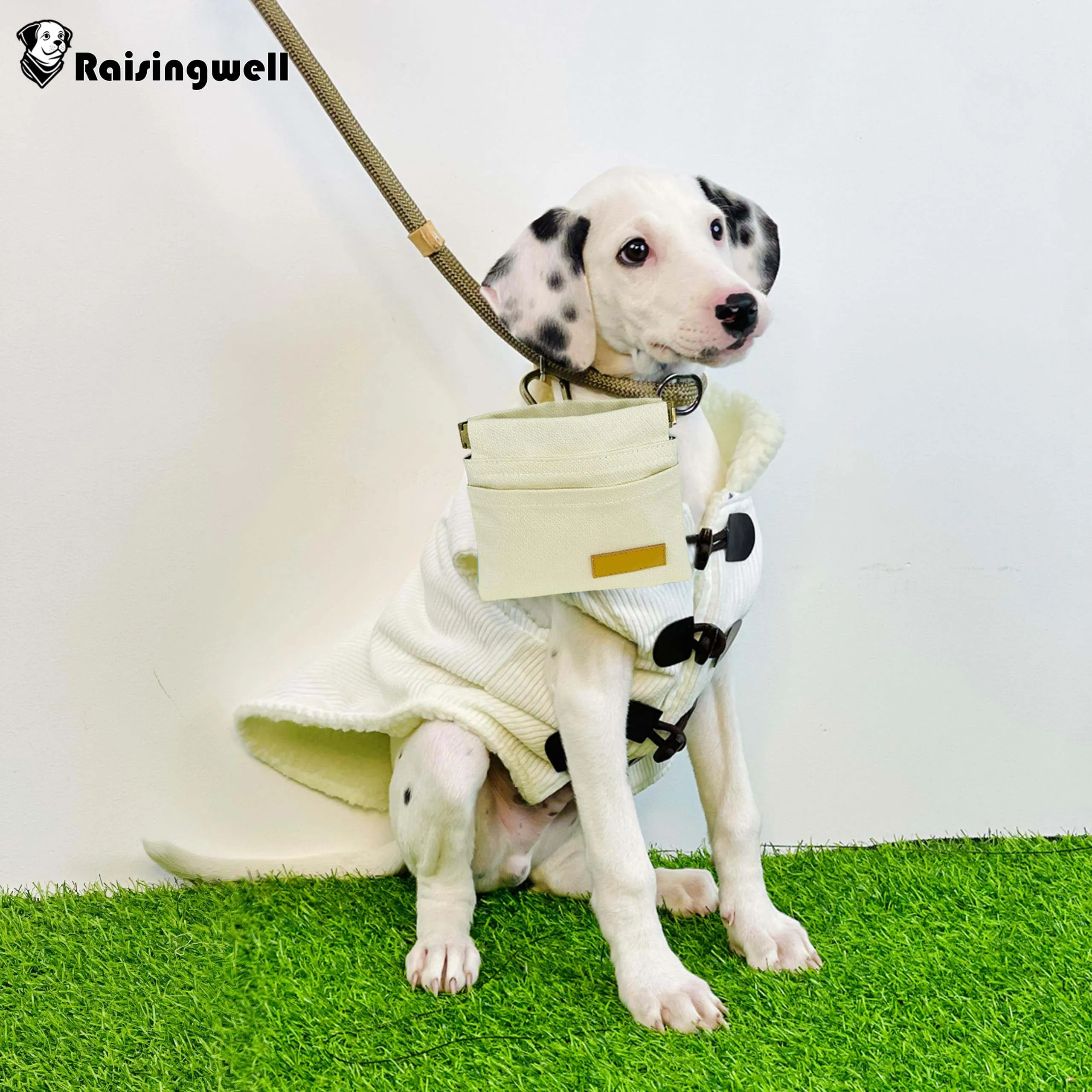 Kit Para Adiestramiento De Perros Midlee Para Agilidad | Envío Gratis