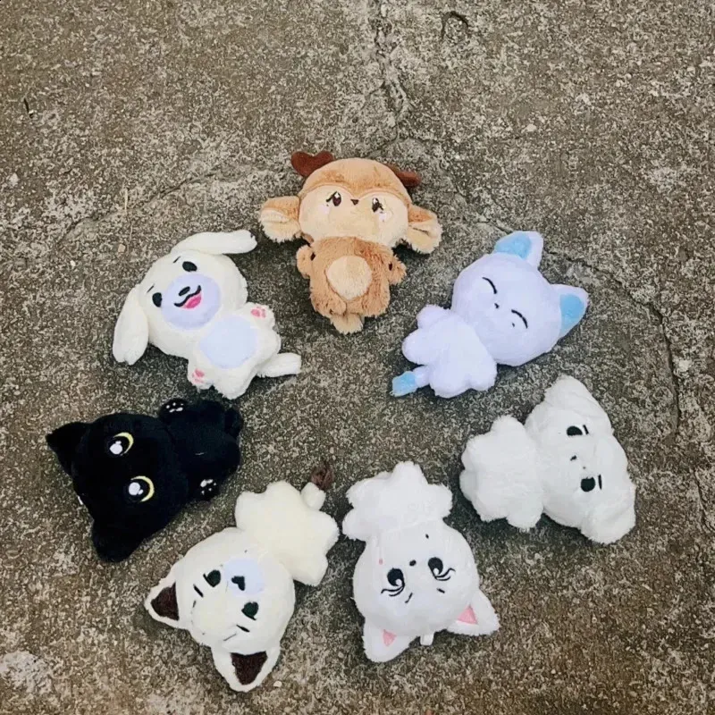 Kpop Peluş Anahtarlıklar JUNGWON, HEESEUNG, JAY, Yi TL1,679.41