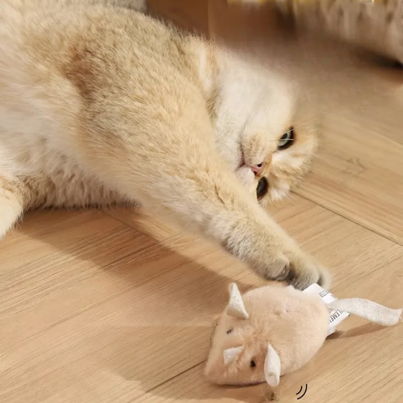 Bâton de jeu électrique simulant un petit chat qui émet des sons, jouet pour chat à taquiner, outil de divertissement autonome_voghion.com