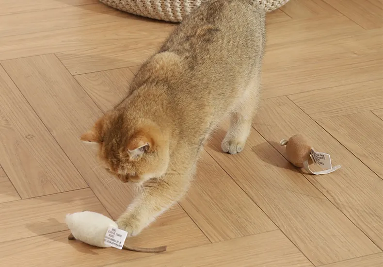 Souris électronique interactive jouet pour chat qui fait du bruit_voghion.com