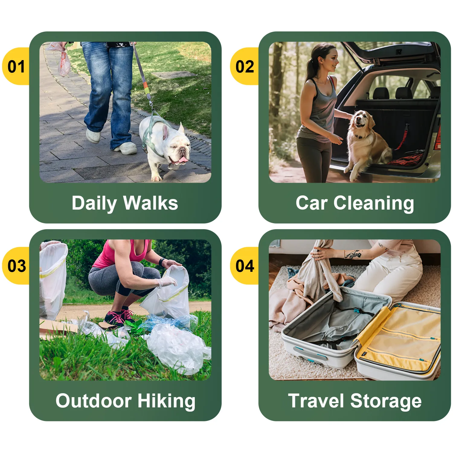 Midland Park Camp Bow Wow Fax Midland Park Camp Bow Wow Corporate