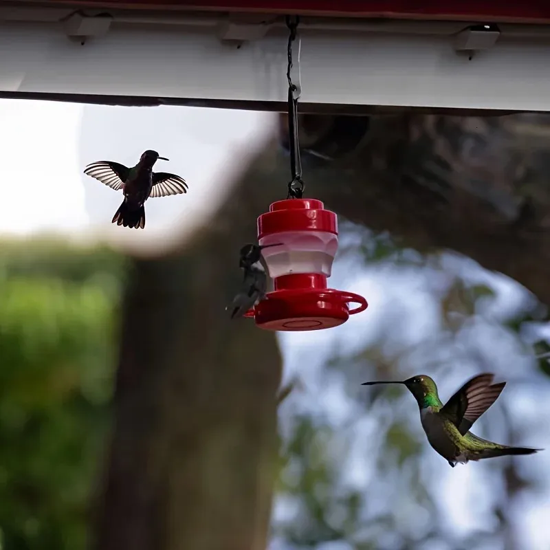 Alimentador Solar Para Aves: Atrae Colibríes Con Luz Nocturna Y Colgador De Metal Marrón