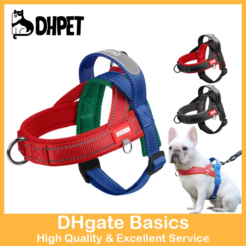 Great Dane Dog Gentle Giant Kid Friendly Large Dog Breeds Dog Vest