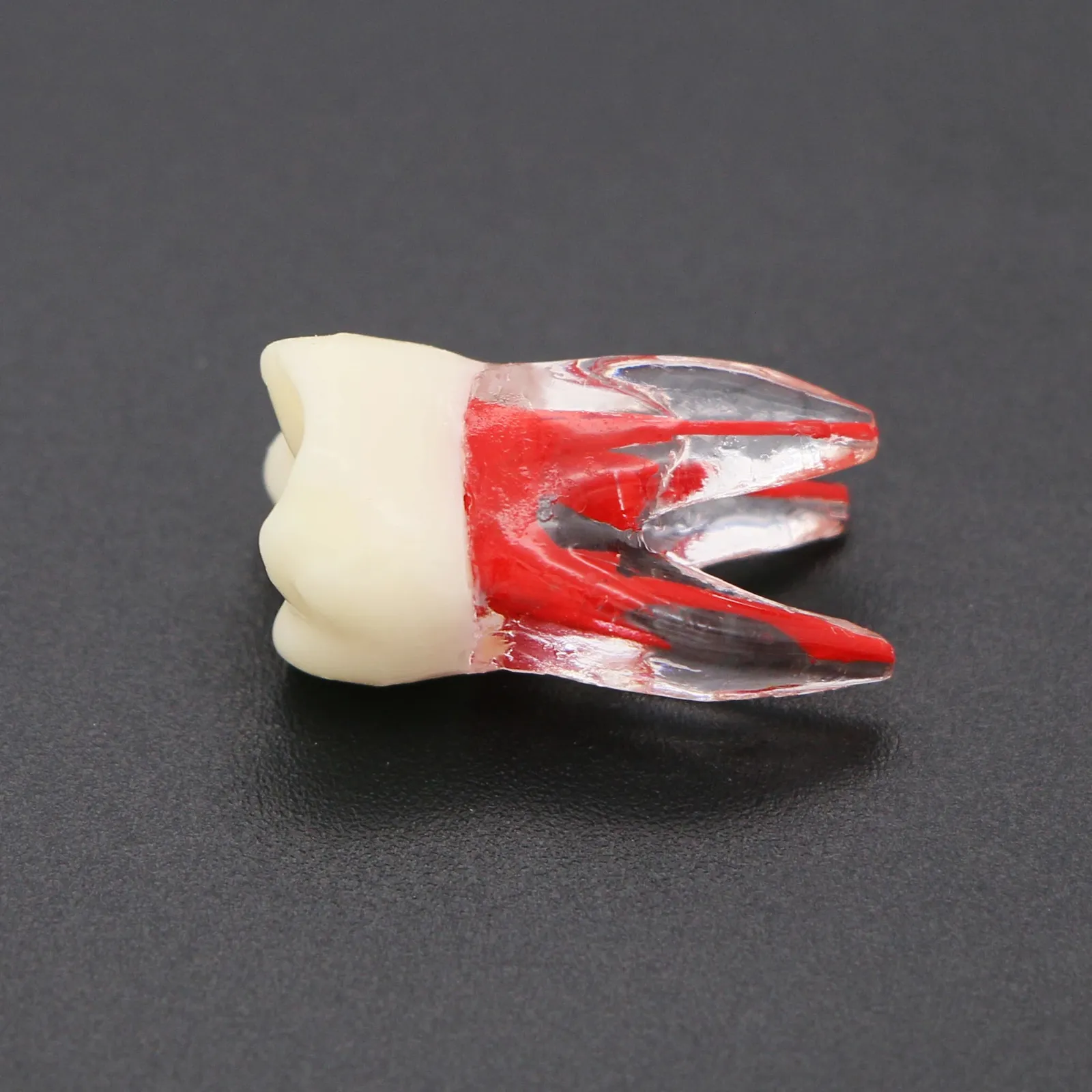 Rct Endo Block Dental Endo Teeth Root Canal Model Endodontic File Practice Block For ...