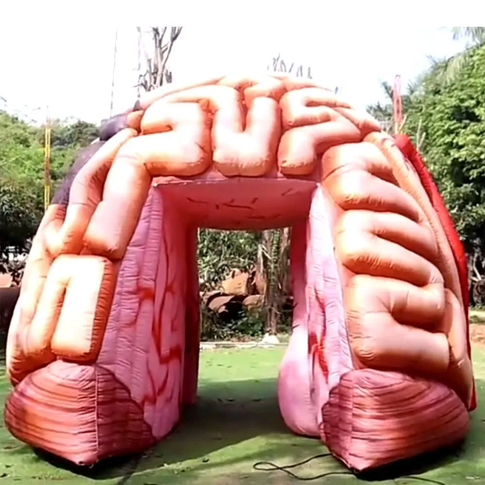 Wholesale Colorful Giant Inflatable Inflatable Brain... From Longdidi ...