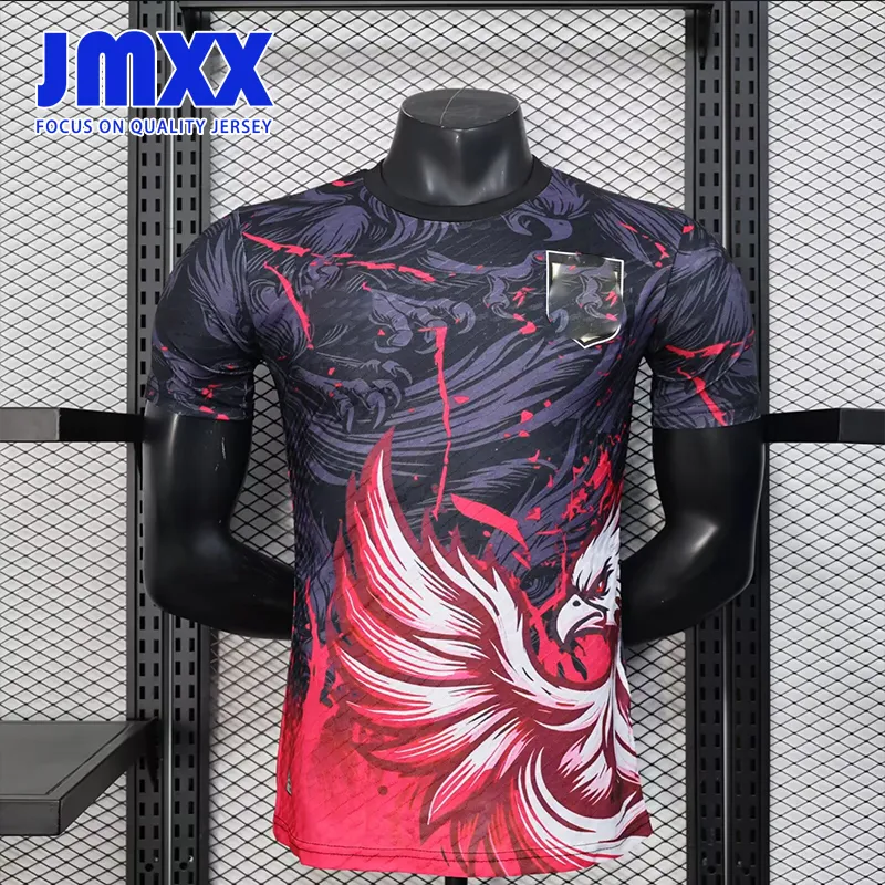 良品 phenix フェニックス Japan National Team ベスト JMXX Japan Soccer Jerseys Phoenixes Dragon Pre Match Training