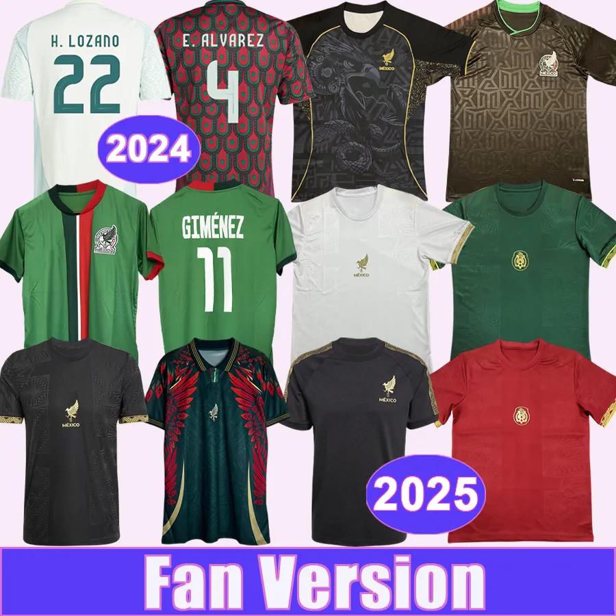 Kit Mexico Team Jersey 2020 Mexico Soccer Jerseys 2024 Home, Away