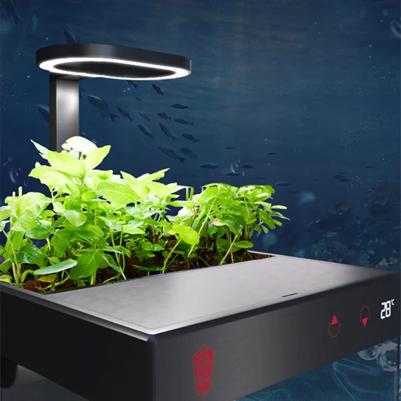Image showcasing No Water Change Aquarium Fish Tank Compact Desktop Swamp Pool With ...