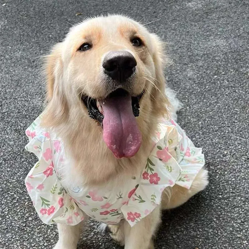 Dress Summer Pet Clothing Pomeranian Poodle Schnauzer Border Collie Samoyed  Husky Labrador Golden Retriever Big Dog Clothes From Wangchuan8368, $8.59 |  DHgate.Com