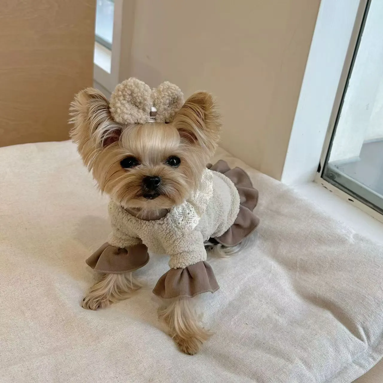 Yorkie Clothes