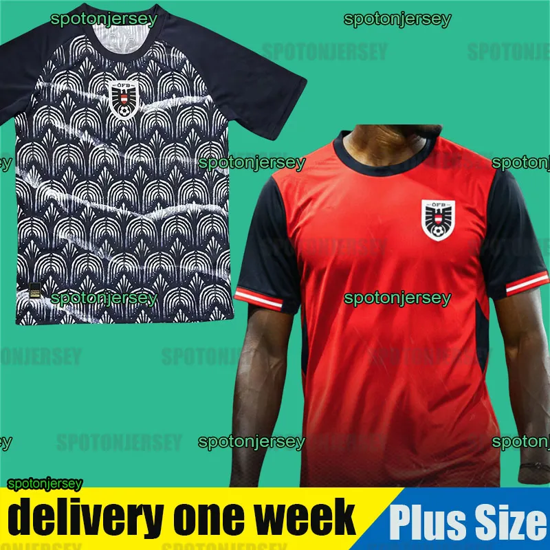 Austrias World Cup Men s And Kids Wales Football Top Set 2026 Tops austrias-world-cup-men-s-and-kids-wales-football-top-set-2026-tops