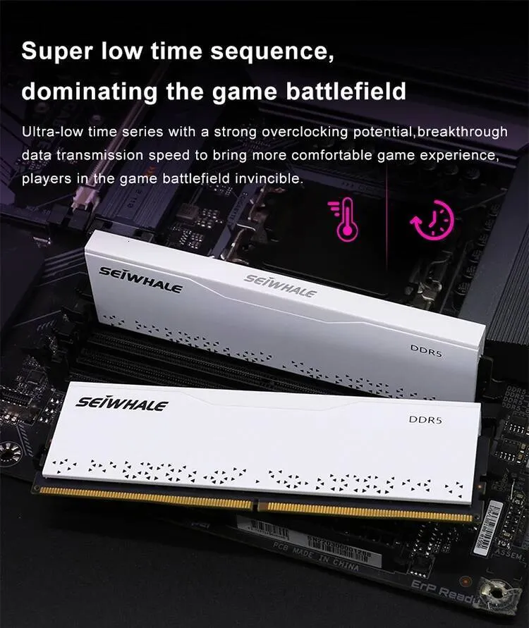 SEIWHALE 16GB DDR5 Imdb Memory For Desktops 6000MHz From