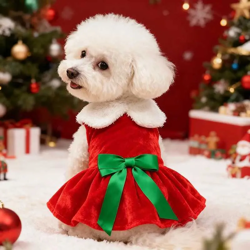 pet holiday dress Parisian Pet