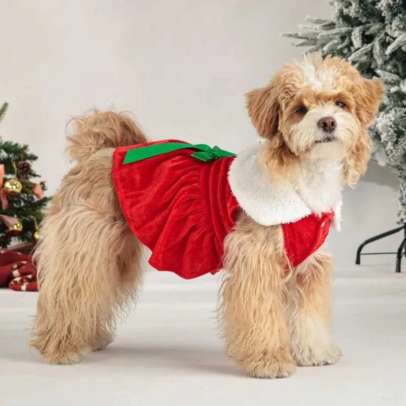 Christmas Dog Dress Holiday Cosplay Outfit Winter Apparel for Small Dogs Christmas Dog Dress Holiday Cosplay Outfit Winter Apparel for Small Dogs