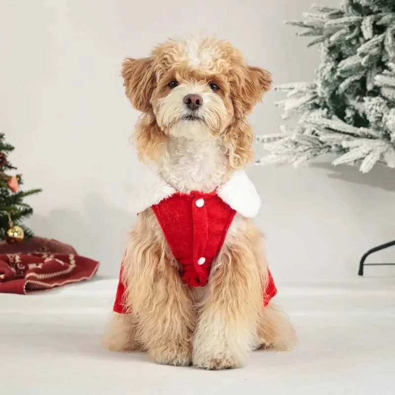 Christmas Dog Dress Holiday Cosplay Outfit Winter Apparel for Small Dogs from Dhgate Dog Dresses - price 18.12 Christmas Dog Dress Holiday Cosplay Outfit Winter Apparel for Small Dogs from Dhgate Dog Dresses - price 18.12