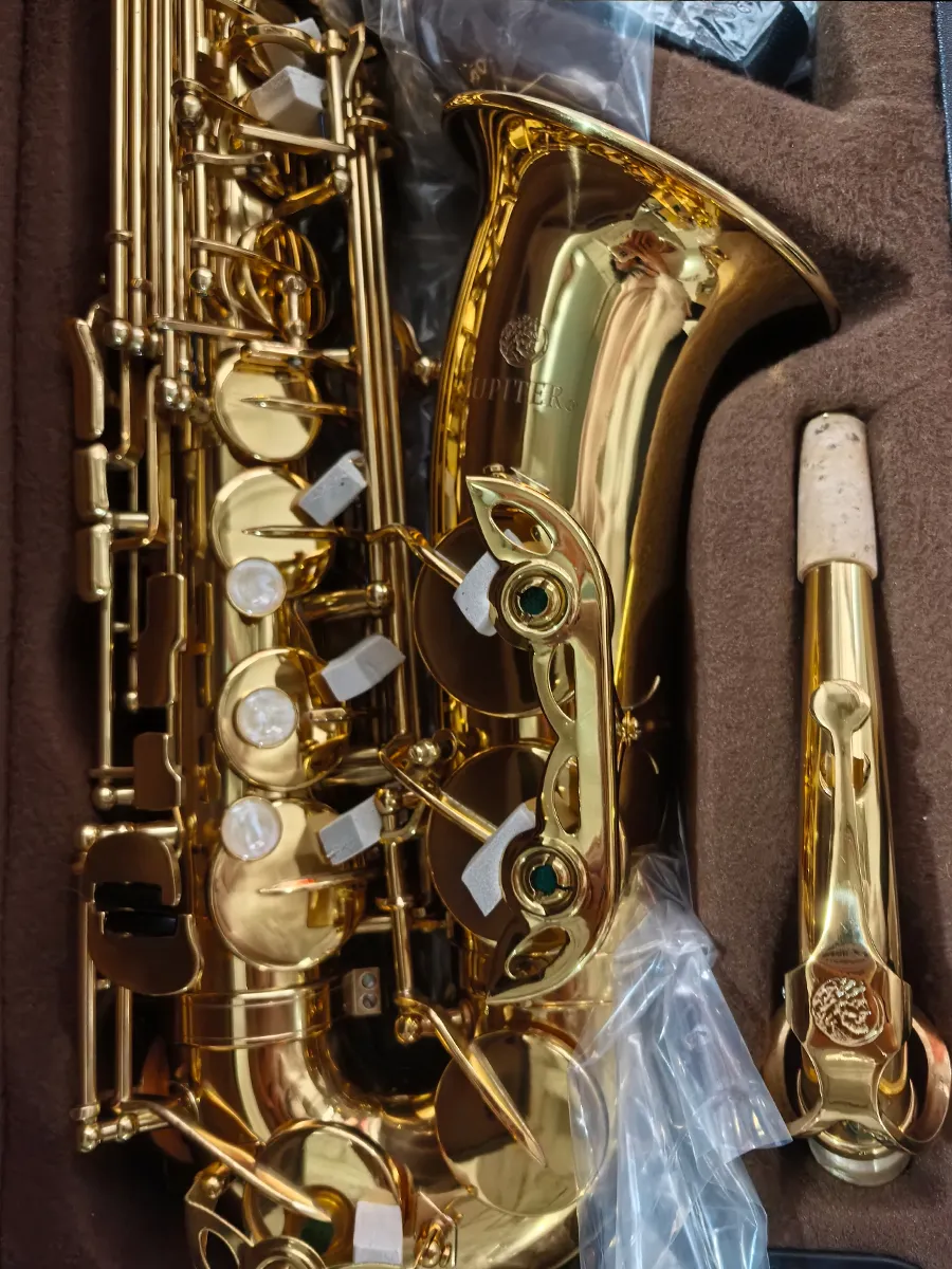 E Flat Alto Saxophone Lacquered Brass Musical Instrument With Case And  Mouthpiece From Dingflipped2024, $301.51 | DHgate.Com, image size:900x1200