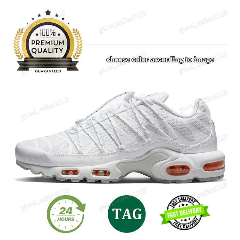 Tn Plus Tns Shoe Men Designer Running Shoes Laces Sneakers Triple