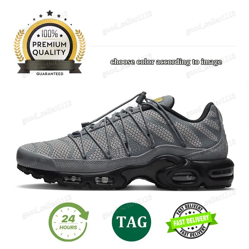 Tn Plus Tns Shoe Men Designer Running Shoes Laces Sneakers Triple