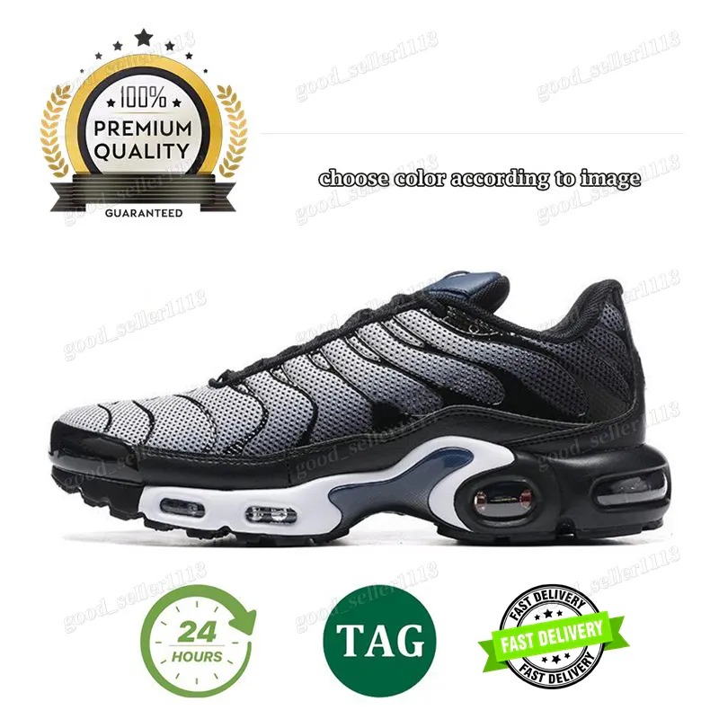 テネシー Tn Plus Tns Shoe Men Designer Running Shoes Laces Sneakers Triple