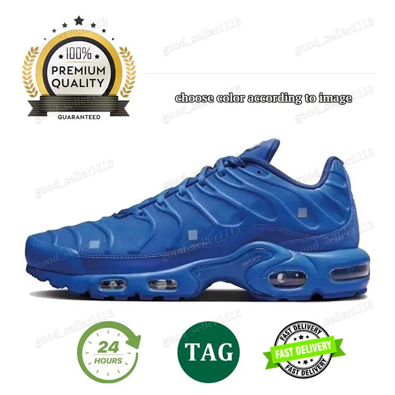 Tn Plus Tns Shoe Men Designer Running Shoes Laces Sneakers Triple