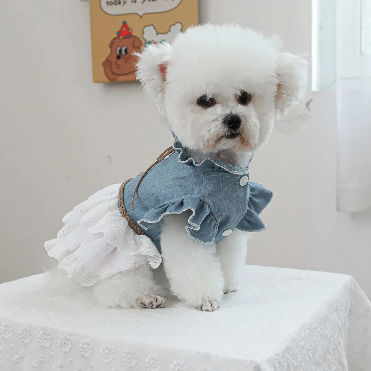 dog denim dress Amazon.com : ANIAC Denim Dog Dresses for Small Dogs Puppy Girl Clothes with Leash Ring and Cute Bow Knot Summer Cat Apparel with D-Ring Blue Girl Dog Clothes (Dark Blue,Small) : Pet