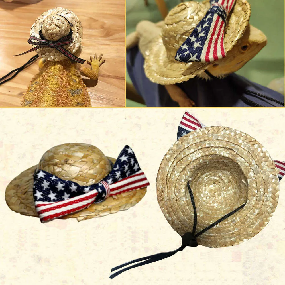 Leash Reptile 2026 Outdoor Straw Hat – 58% OFF, Best Pet Lizard Walking Hat