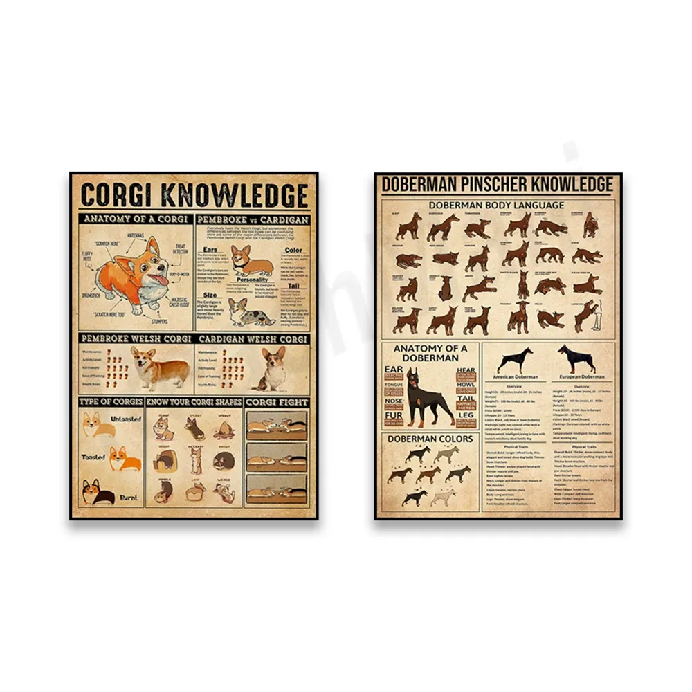 Corgi Types, Corgi Printed Anatomy, Doberman... From Dh1100285003, $14. ...