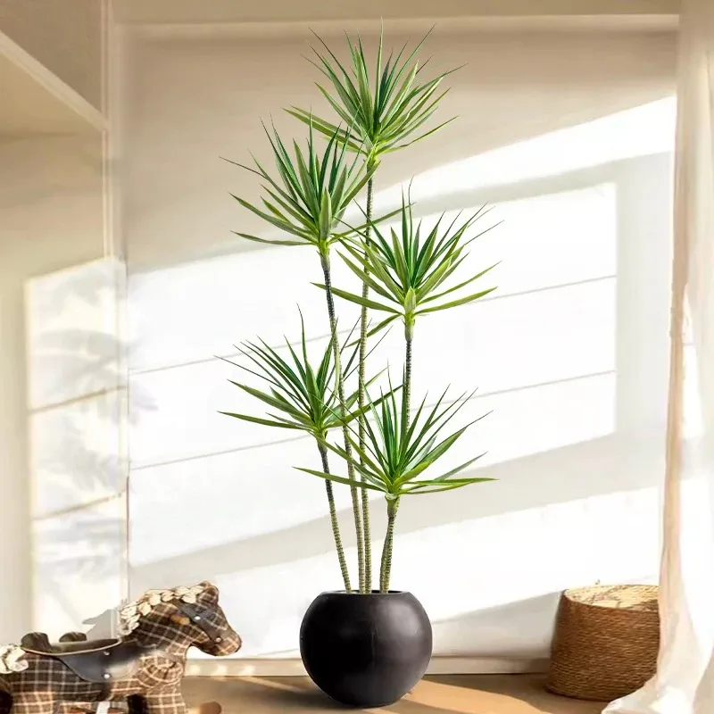 indoor plant small Popular Houseplant 12-pack: Easy Plant Variety Pack  Cute & Unique Pl   Altman Plants