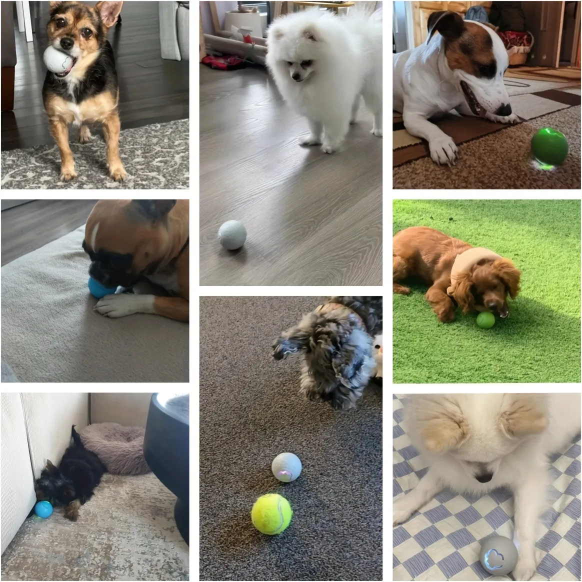 Smart Interactive Bouncing Toy Ball For Cats With Rgb Lights_voghion.com