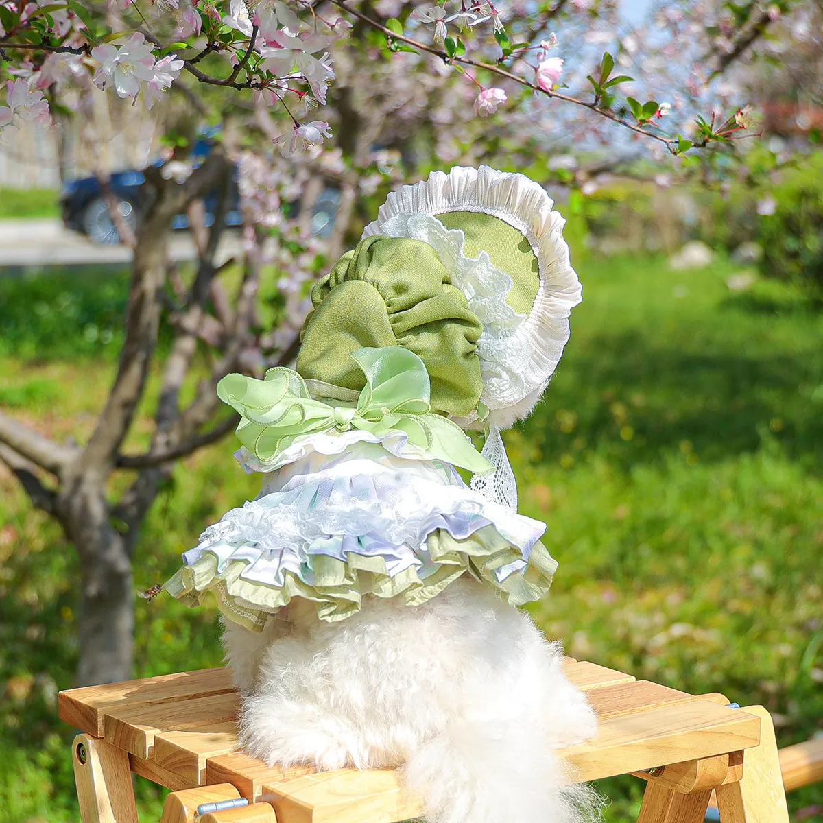 pet dog lace dress Lace Dog Dress