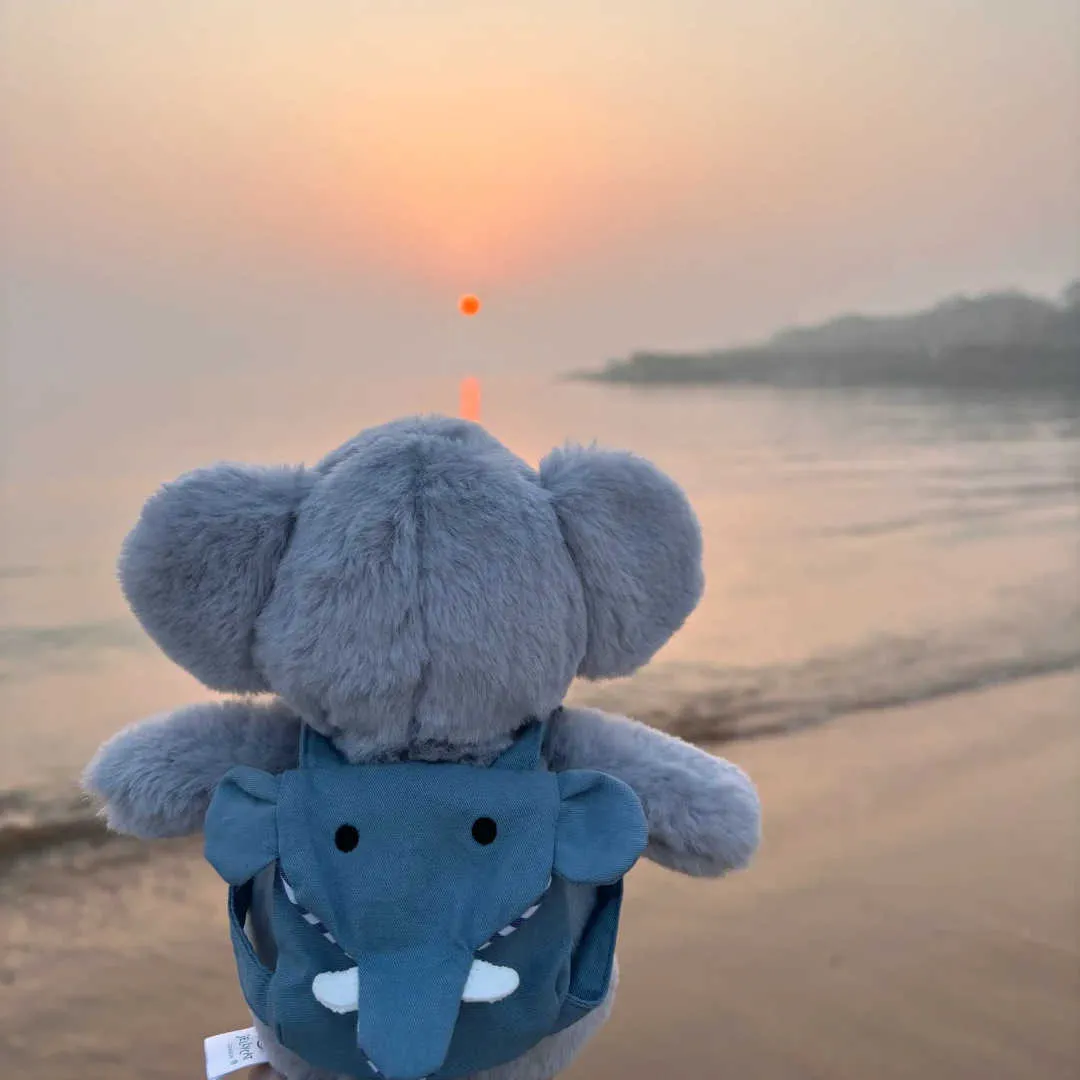 elephant mini backpack Tophit Plush Elephant Backpack by FiestaCarrying an elephant on your back is no mean feat Personalised Pink Cord Mini Backpack