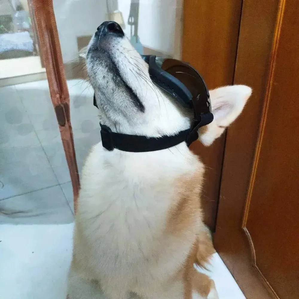 Dog Glasses 3Pcs Dog Sunglasses – UV Protection, Waterproof Dog Glasses 3Pcs Dog Sunglasses – UV Protection, Waterproof
