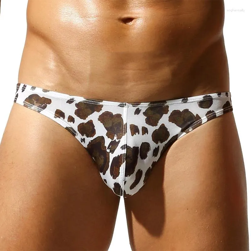 Recensione Di Mutande SEOBEAN Slip Stampati Da Uomo Comodo Intimo Traspirante Con Triangolo Sexy A Forma Di U Convesso | Biancheria Intima Stampata Da Uomo Mutande Slip | DHgate Shorts