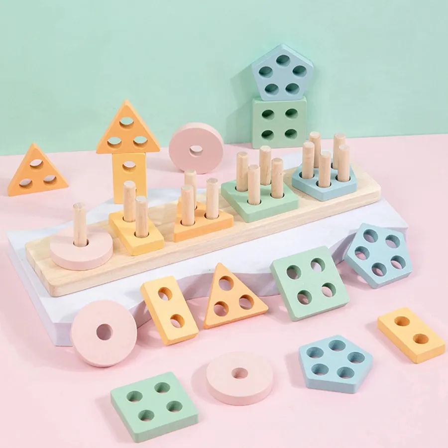 Montessori Wooden Color Sorting Stacking Toys Plastic Puzzle for ...