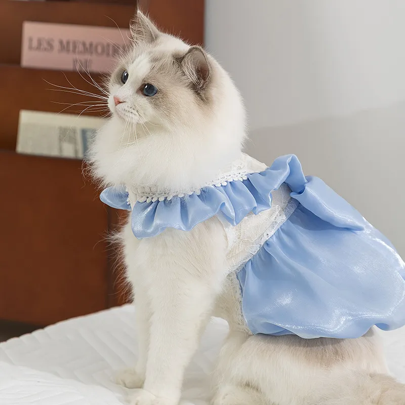 Princess Merry Bow Cat Dress For Kittens Thin Blue... From Gdclothing, $22.66 | DHgate.Com Princess Merry Bow Cat Dress For Kittens Thin Blue... From Gdclothing, $22.66 | DHgate.Com