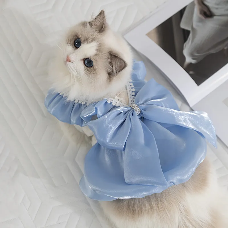 Princess Merry Bow Cat Dress For Kittens Thin Blue... From Gdclothing, $22.66 | DHgate.Com Princess Merry Bow Cat Dress For Kittens Thin Blue... From Gdclothing, $22.66 | DHgate.Com