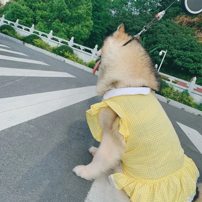 Dog Dress Summer Plaid Breathable 100% Cotton Pet Clothes for Medium Large  Dogs Outdoor Walking from Dhgate Dog Dresses - price 22.45
