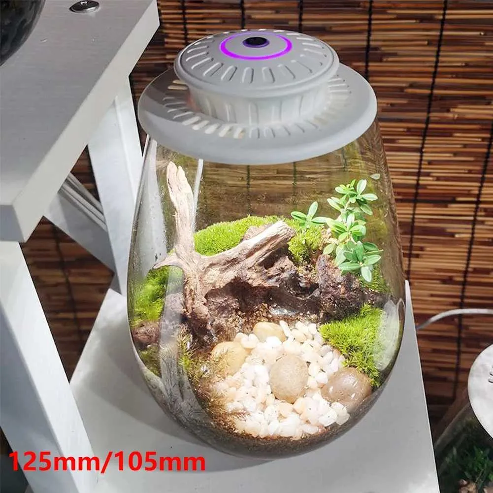 Fern Moss Grow Light With Timer 6500K Indoor Plant... From  Honey_fruit_tree1, $16.22 | DHgate.Com
