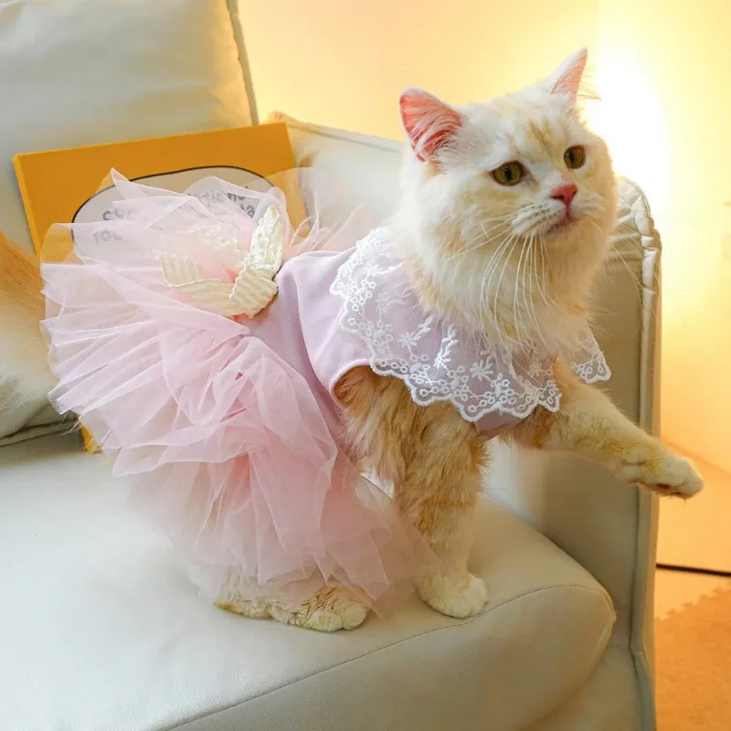 princess dress for cats Cat Dress Buying Guide: Styles, Materials & Sizes for Small Pets