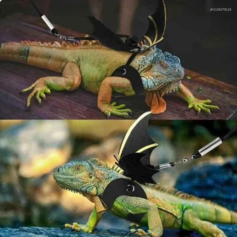 2-Pack Bearded Dragon Harness & Leash - Adjustable Reptile Walking