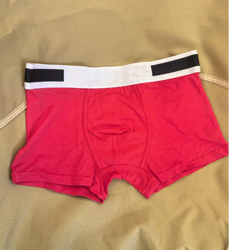 Slip In Rete Uomo – Mutande Con Elastico Morbido, Tessuto Traspirante Nylon 85%, Taglie S-XXL
